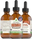 RawGuru Organic Reishi Gobe Tinktura - Reishi Gobe Extract z naravnimi minerali trace - Nano-procesirana Kognitivna in Imunska podpora dodatek - 60 Servis veganskih kapljic na 60 ml, Pakiranje po 1
