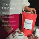 SAKARA Super Powder Bundle - Presnova Super Powder, Čokolada & Fiber Super Powder, Namig Ananas - Pomoč Prebavno zdravje z digestivnih encimov Dopolnilo v prahu